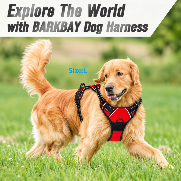 Dog Leashes, Harnesses & Collars collection – Pawly Supply