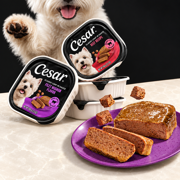 Dog Food collection – Pawly Supply