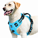 Labrador wearing the Sky Blue air-mesh no pull dog harness with reflective trim