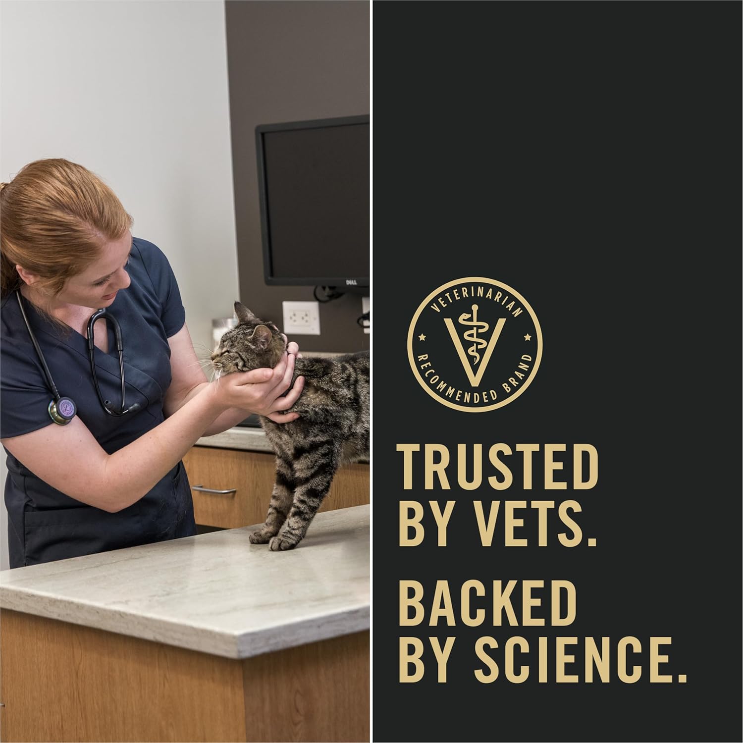 Purina Pro Plan LiveClear Allergen Reducing Cat Foam Shampoo