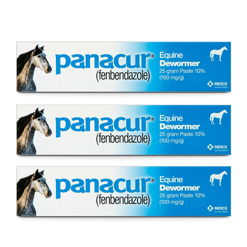 Panacur Equine Dewormer Paste | 10% Fenbendazole | Apple-Cinnamon Flavor | 3-Pack Bundle