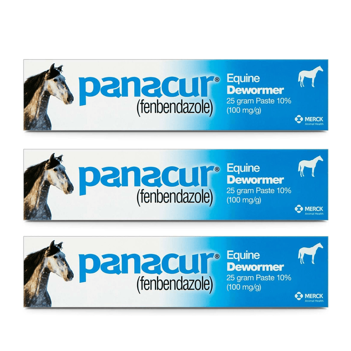 Panacur Equine Dewormer Paste | 10% Fenbendazole | Apple-Cinnamon Flavor | 3-Pack Bundle