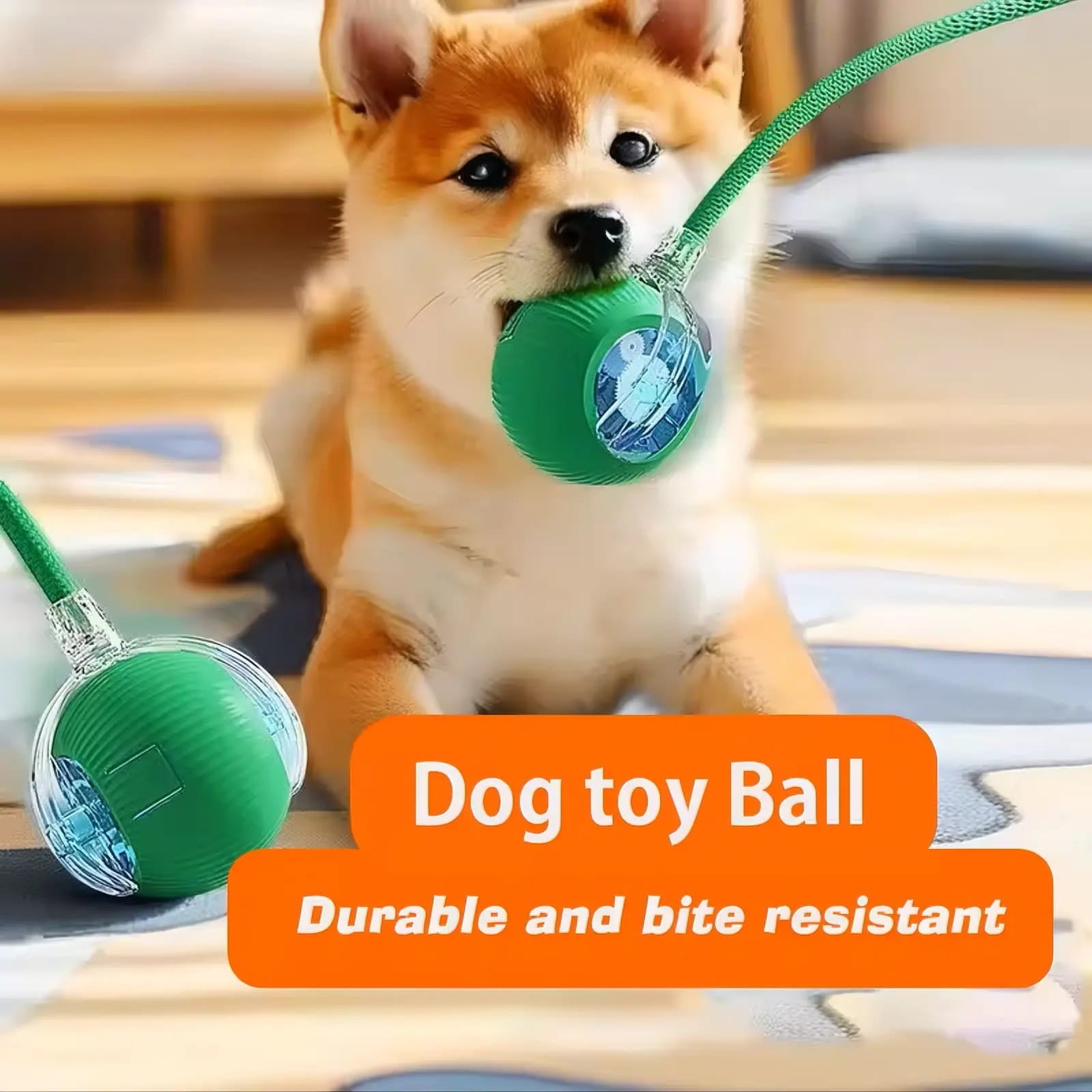 360° Smart Interactive Self-Rolling Pet Ball | Automatic Toy for Dogs & Cats