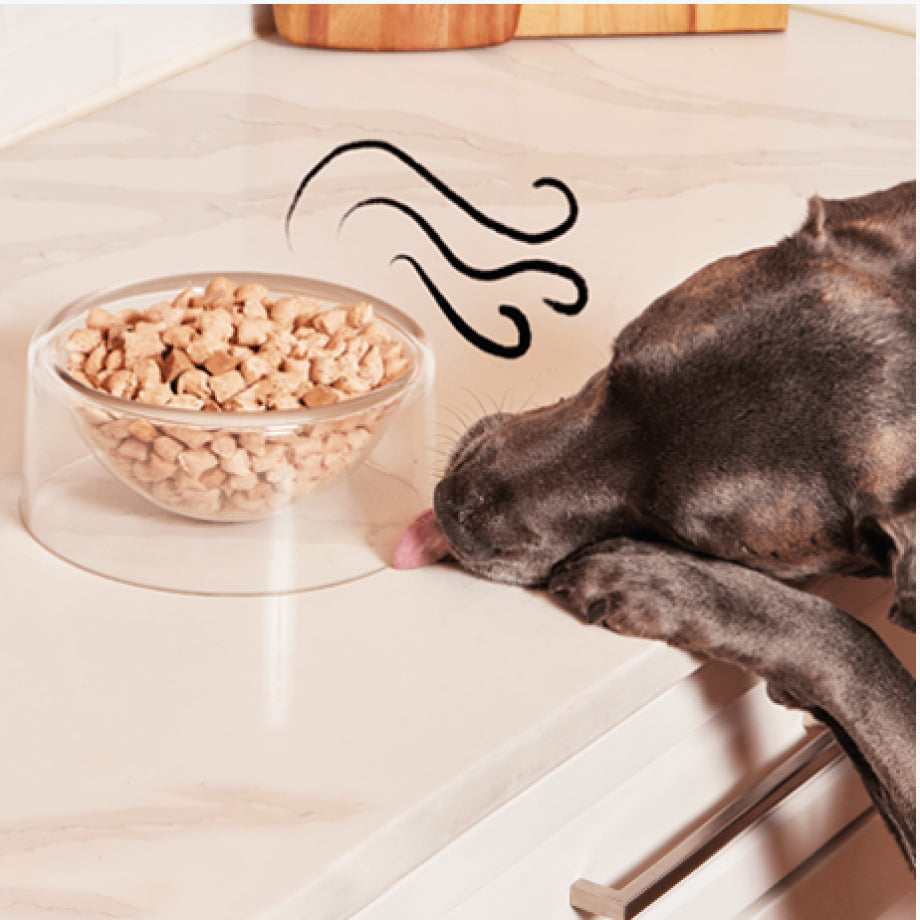 Spot & Tango unKibble Fresh Dog Food - Pawly Supply