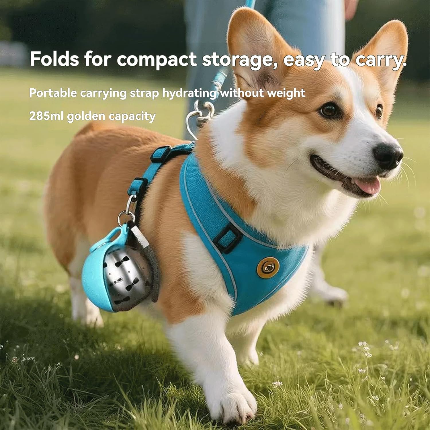 Portable Dog Water Ball Bottle with Foldable Silicone Bowl