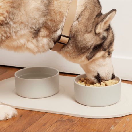 Spot & Tango unKibble Fresh Dog Food - Pawly Supply