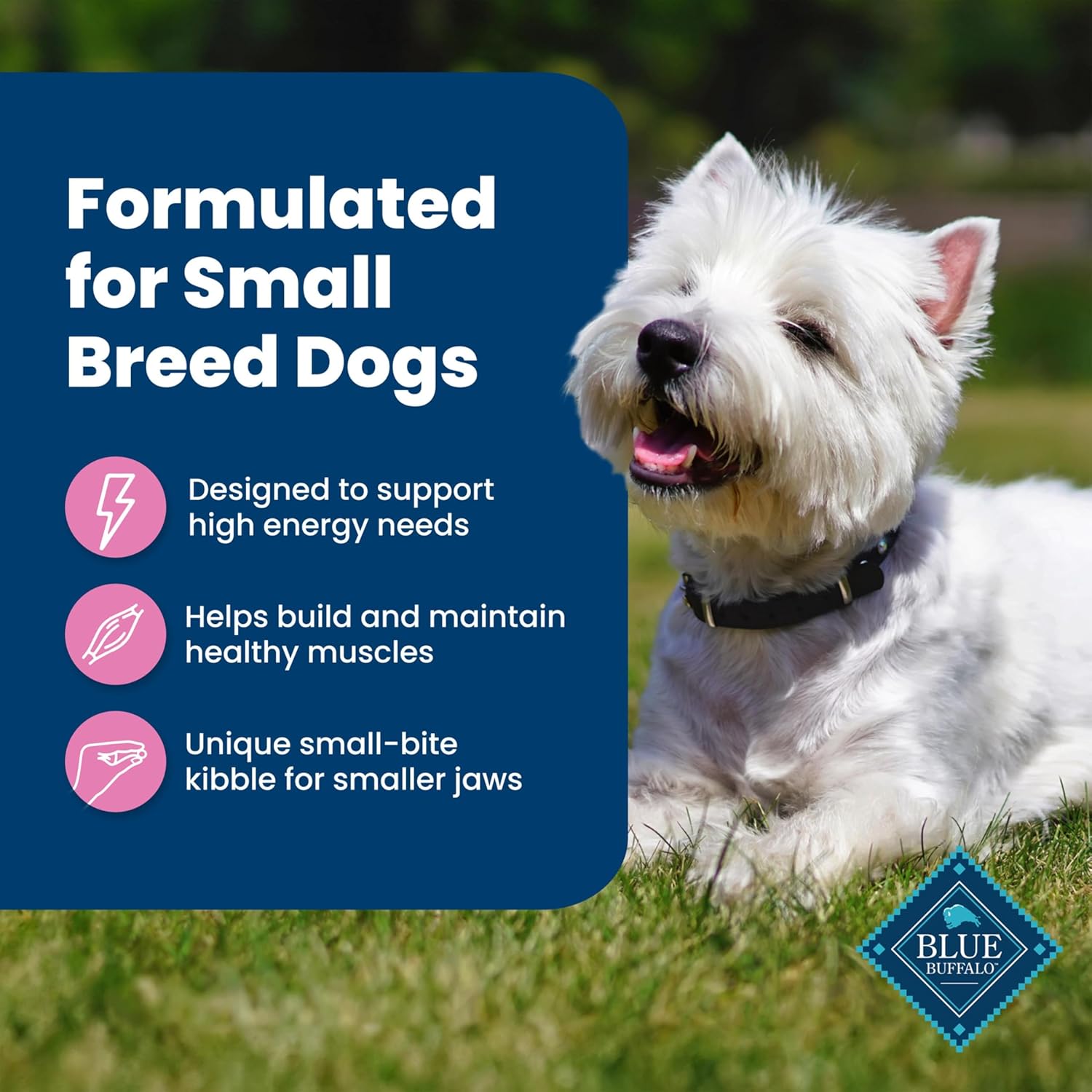 Blue Buffalo Life Protection Chicken & Rice Dog Food