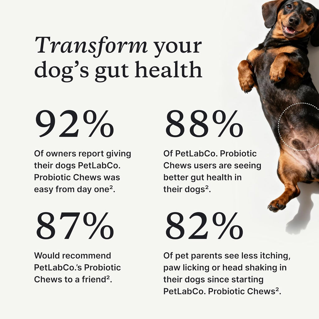 PetLab Co. Probiotic Chews for Dogs Gut Health 30 Count