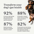 PetLab Co. Probiotic Chews for Dogs – Gut Health Supplement 30 Count
