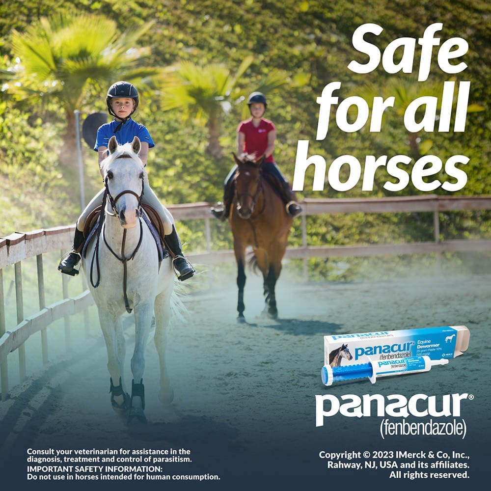 Panacur Equine Dewormer Paste | 10% Fenbendazole | Apple-Cinnamon Flavor | 3-Pack Bundle