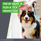 Frontline Plus for Small Dogs (5-22 lbs) | Flea & Tick Spot-On Prevention | 6 Month Supply