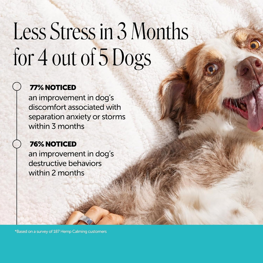 Pet Honesty Calming Chews for Dogs — 90 Soft Chews