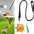 Interactive Dog Tug Toy with Door Anchor – Pawly Supply