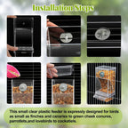 Automatic Bird Feeder Toy – Transparent Acrylic Food Container for Parrots and Cage Birds
