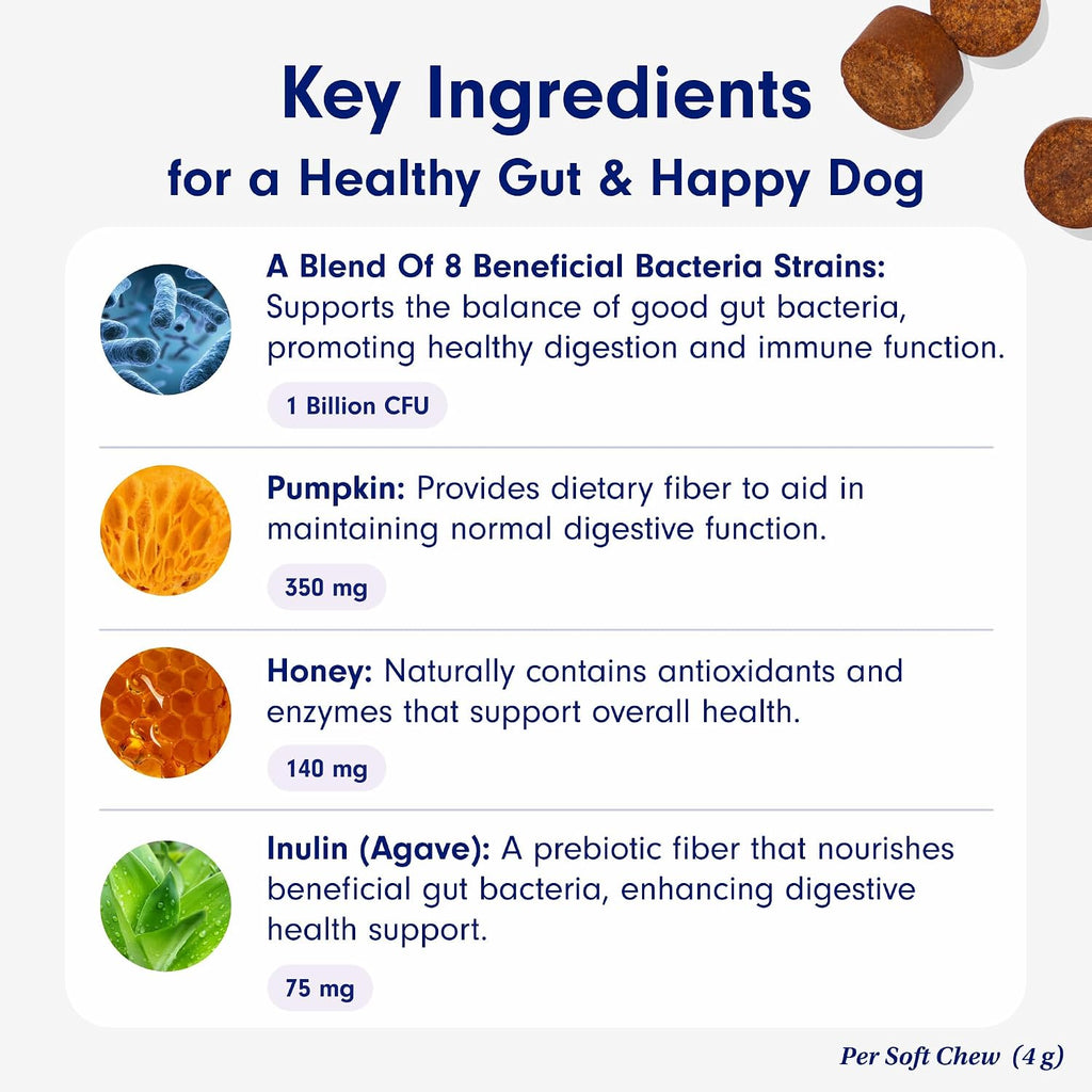 PetLab Co. Probiotic Chew+ for Dogs – Pork Flavor Digestive Support, 30 Chews