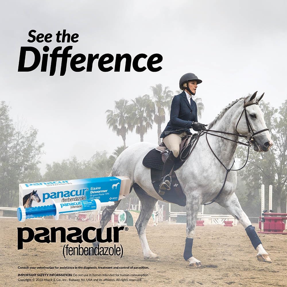 Panacur Equine Dewormer Paste 10 Percent Fenbendazole – Apple Cinnamon 3 Pack – photo 5