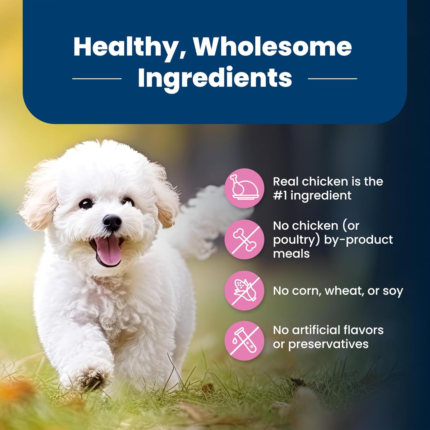 Blue Buffalo Life Protection Chicken & Rice Dog Food