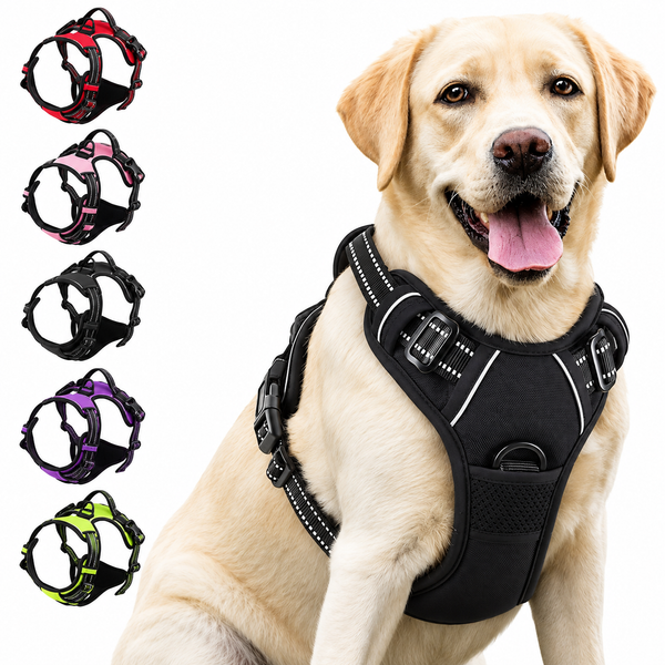 Labrador wearing the black No Pull Dog Harness, with all 8 colour options shown
