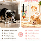 Puppy Play Gym – Indoor Dog Playground with 6 Hanging Toys for Puppies
