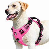 Labrador wearing the Pink air-mesh no pull dog harness with reflective trim