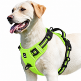 Labrador wearing the Light Green air-mesh no pull dog harness with reflective trim
