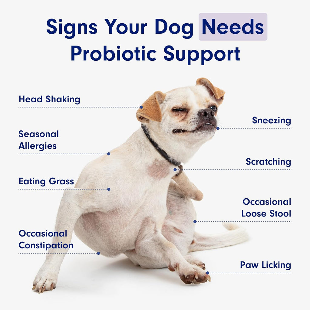 PetLab Co. Probiotic Chew+ for Dogs – Pork Flavor Digestive Support, 30 Chews