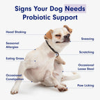 PetLab Co. Probiotic Chew+ for Dogs – Pork Flavor Digestive Support, 30 Chews