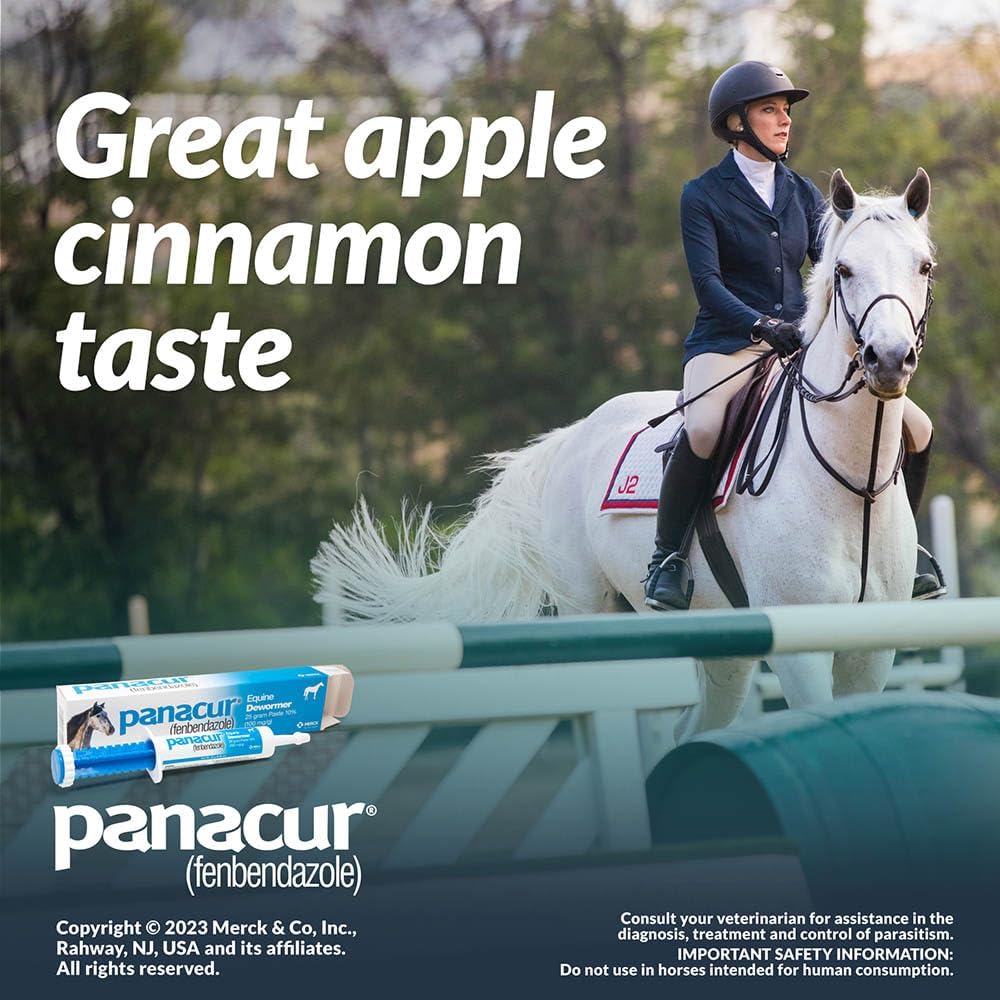 Panacur Equine Dewormer Paste | 10% Fenbendazole | Apple-Cinnamon Flavor | 3-Pack Bundle