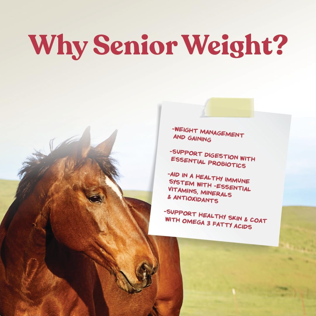 Manna Pro Senior Horse Weight Gain Supplement 8 lb