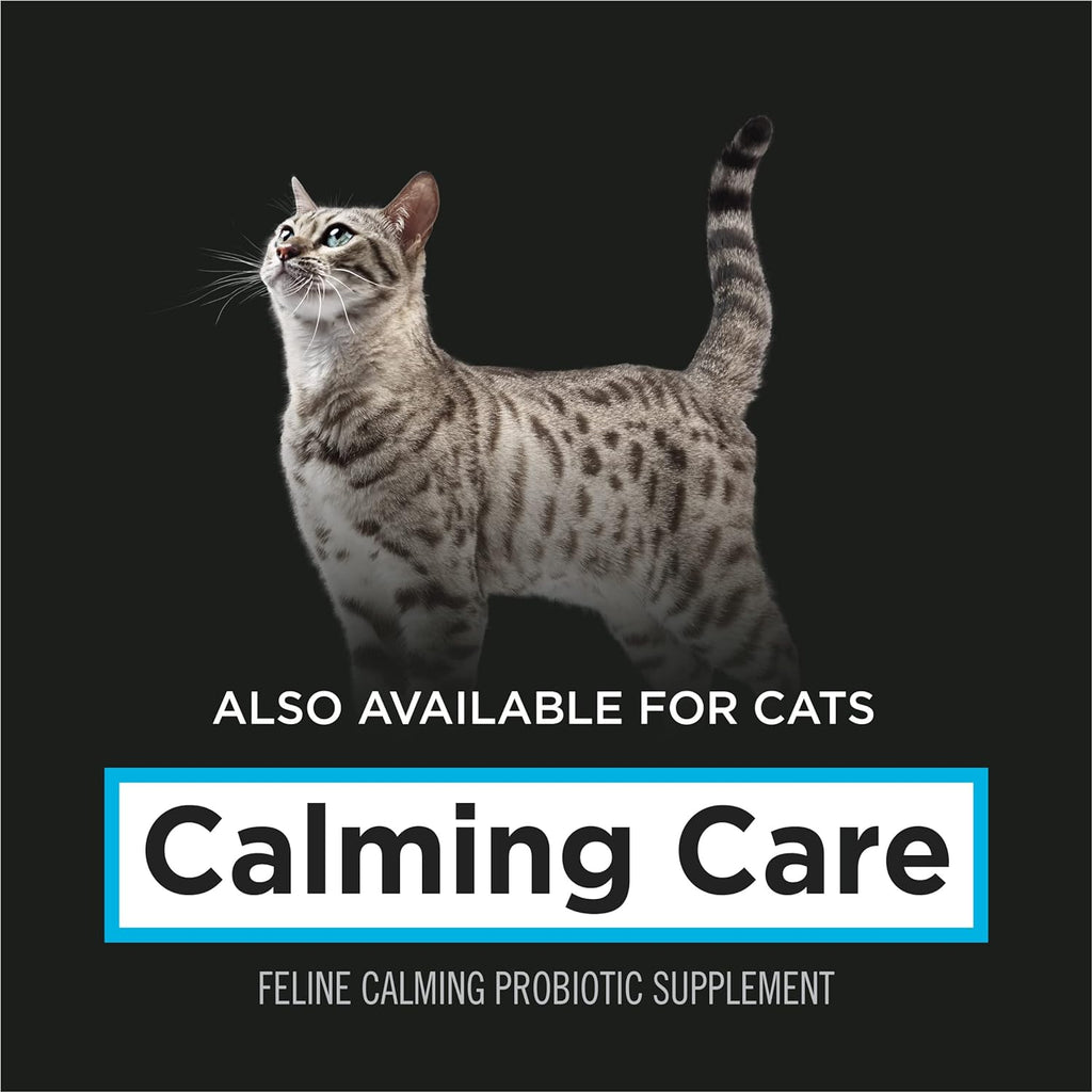 Purina Pro Plan Calming Care Dog Probiotic Supplement 30 ct