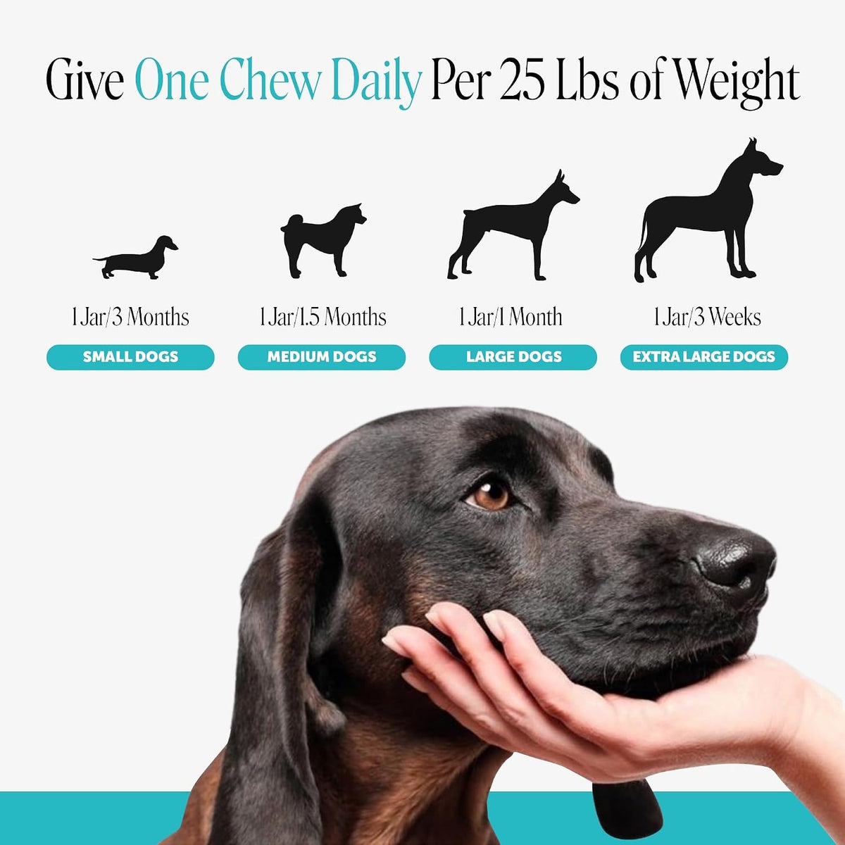 Pet Honesty Calming Chews for Dogs — 90 Soft Chews
