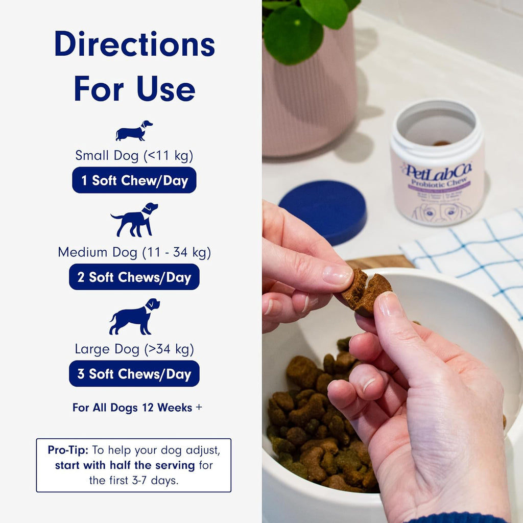 PetLab Co. Probiotic Chew+ for Dogs – Pork Flavor Digestive Support, 30 Chews