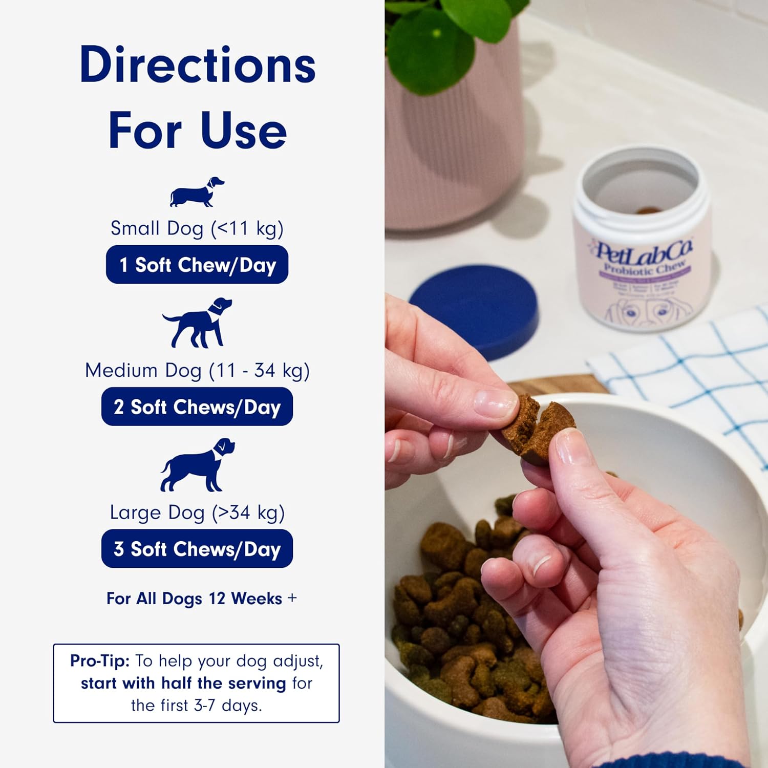 PetLab Co. Probiotic Chew+ for Dogs – Pork Flavor Digestive Support, 30 Chews