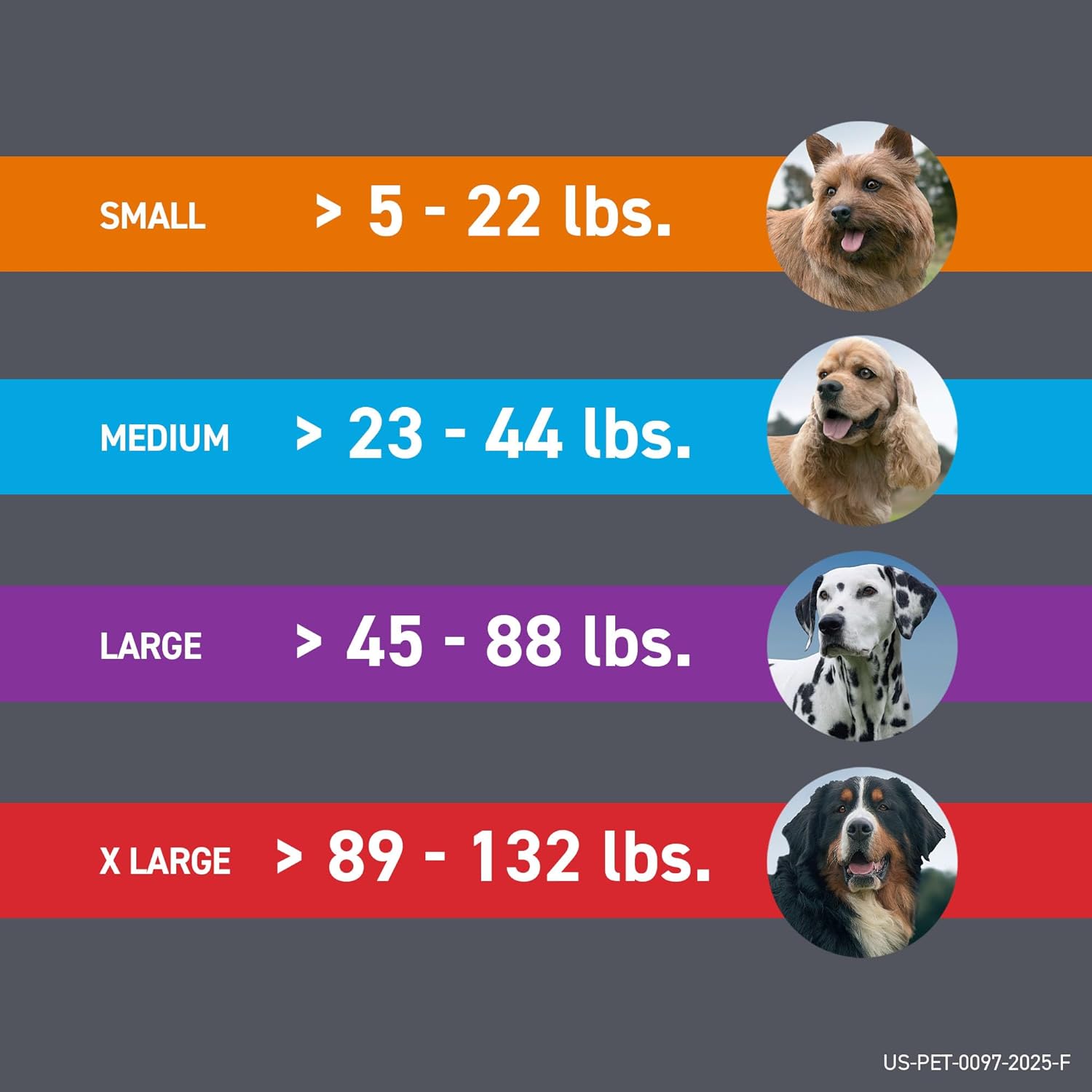 Frontline Plus for Small Dogs (5-22 lbs) | Flea & Tick Spot-On Prevention | 6 Month Supply