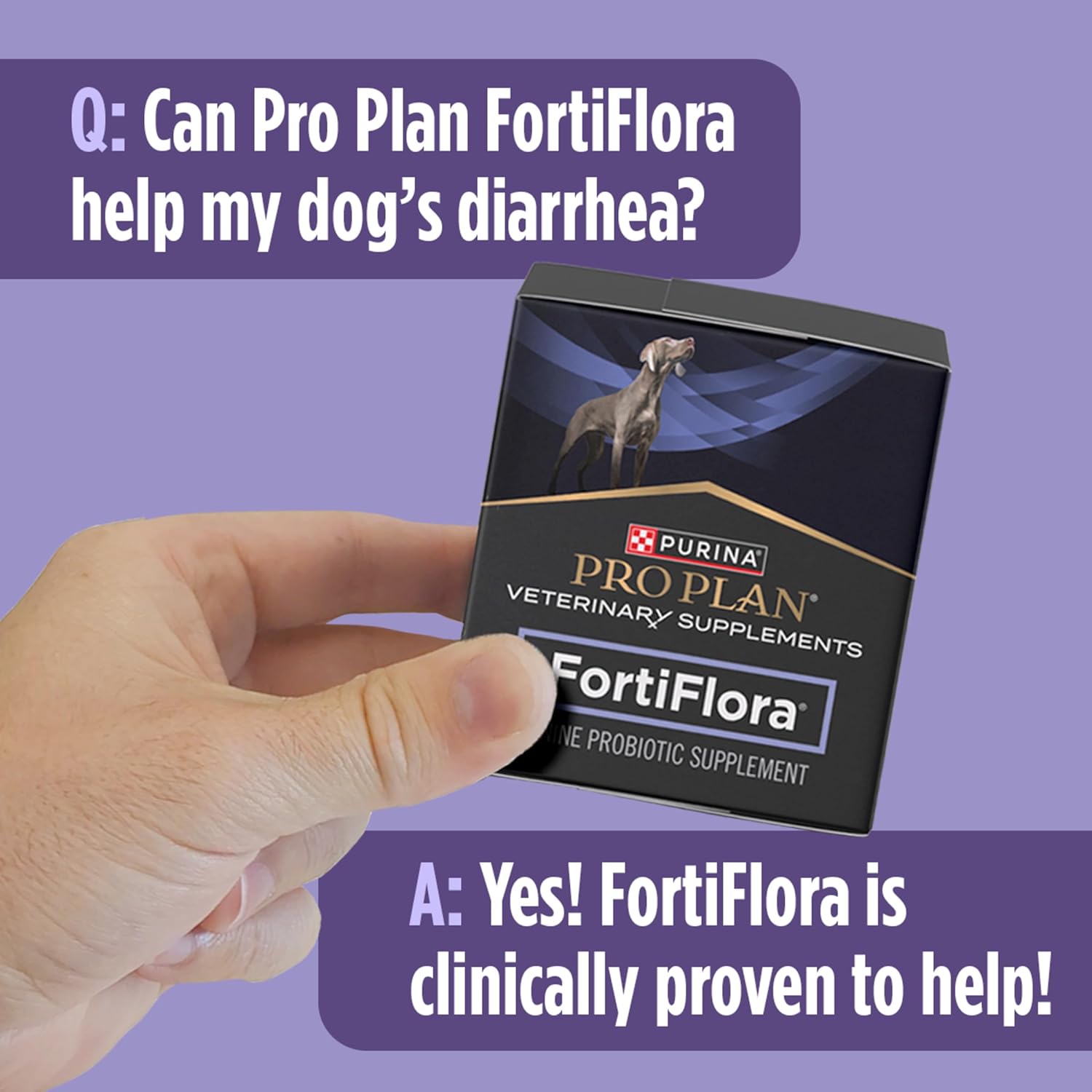 Purina Pro Plan FortiFlora Dog Probiotic Supplement | Veterinary Diet Digestive Support Powder | 30 Sachets