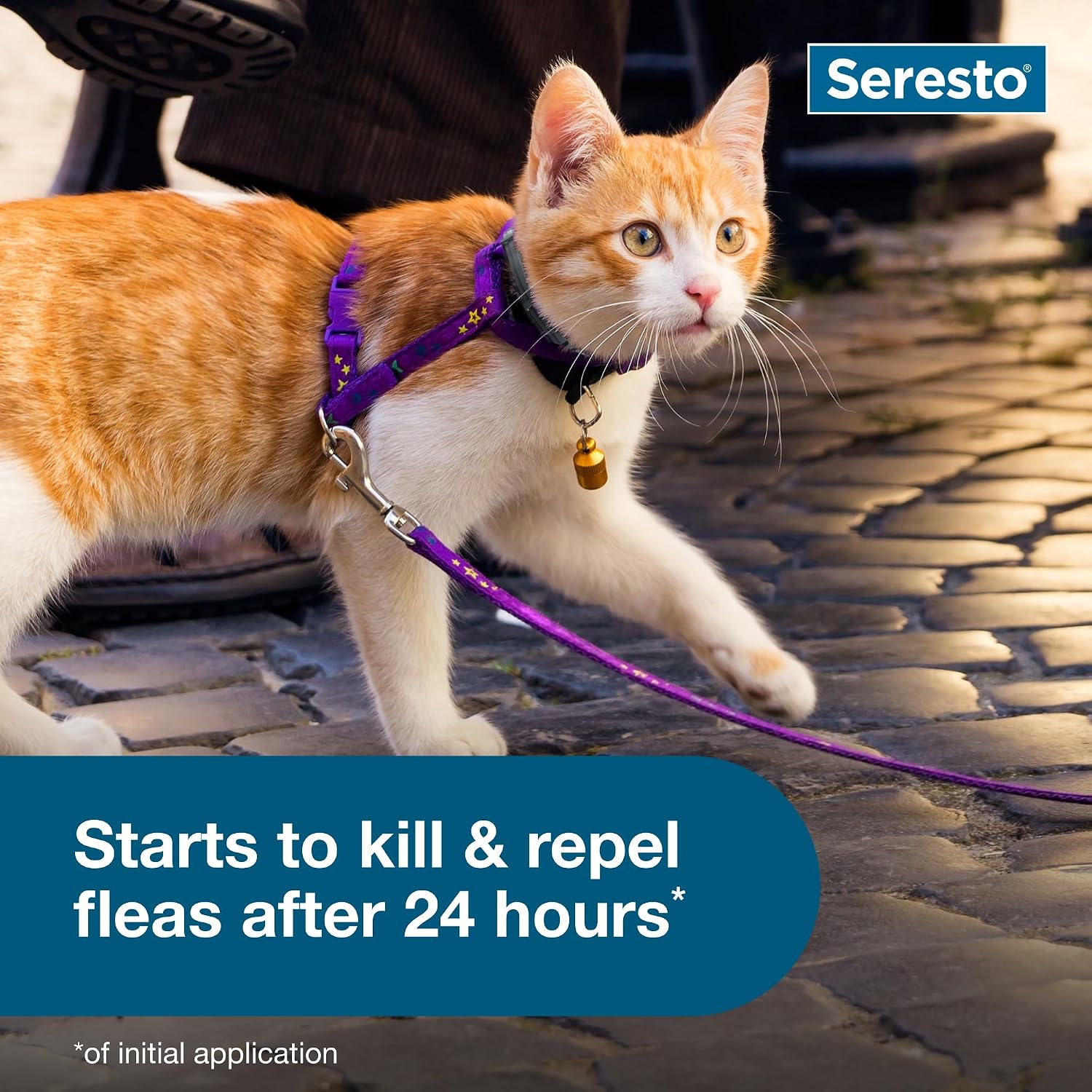 Seresto Cat Flea & Tick Collar – 8 Months Protection