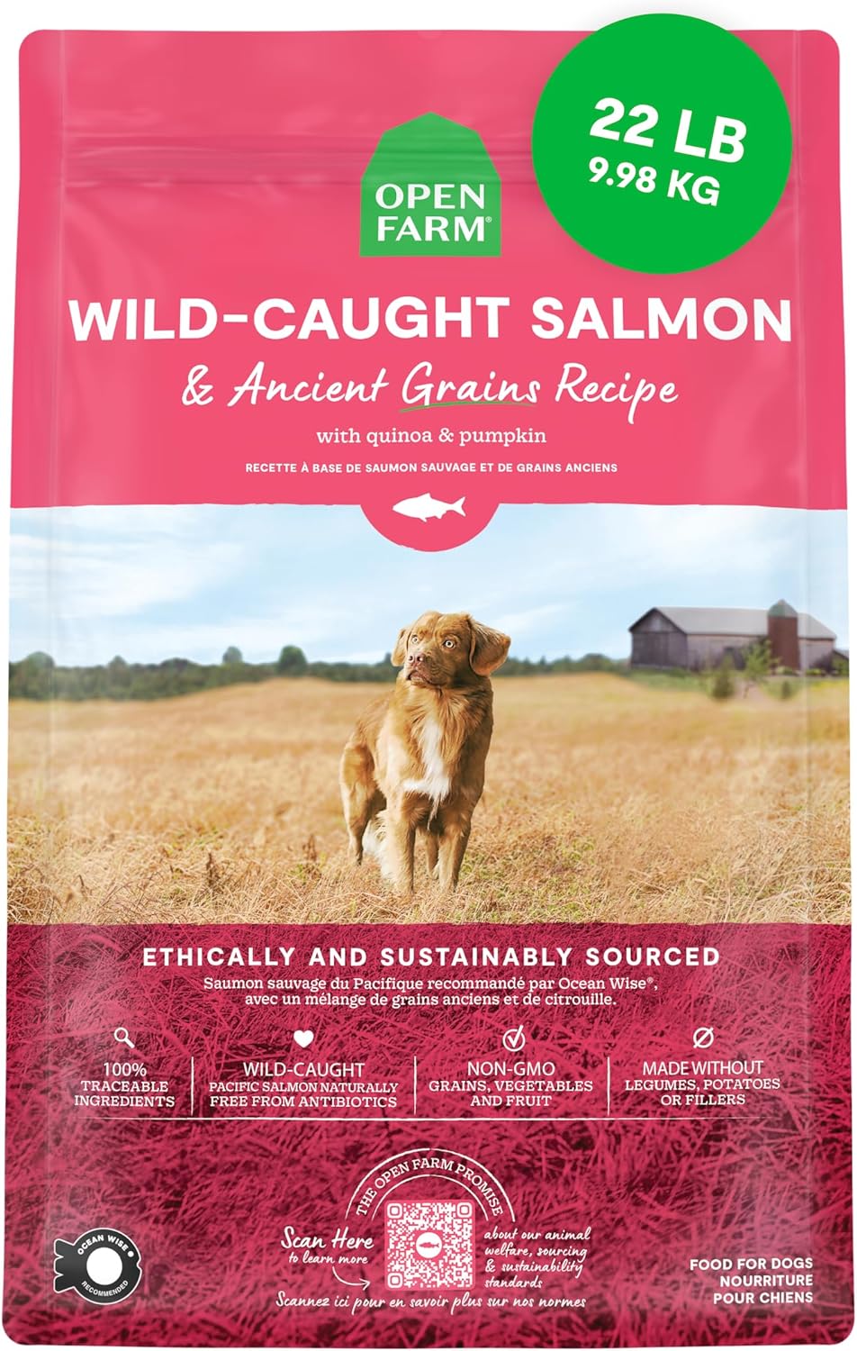Open Farm Wild-Caught Salmon & Ancient Grains Dry Dog Food, 22 lb