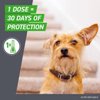 Frontline Plus Flea & Tick Treatment Large Dogs 45-88 lbs