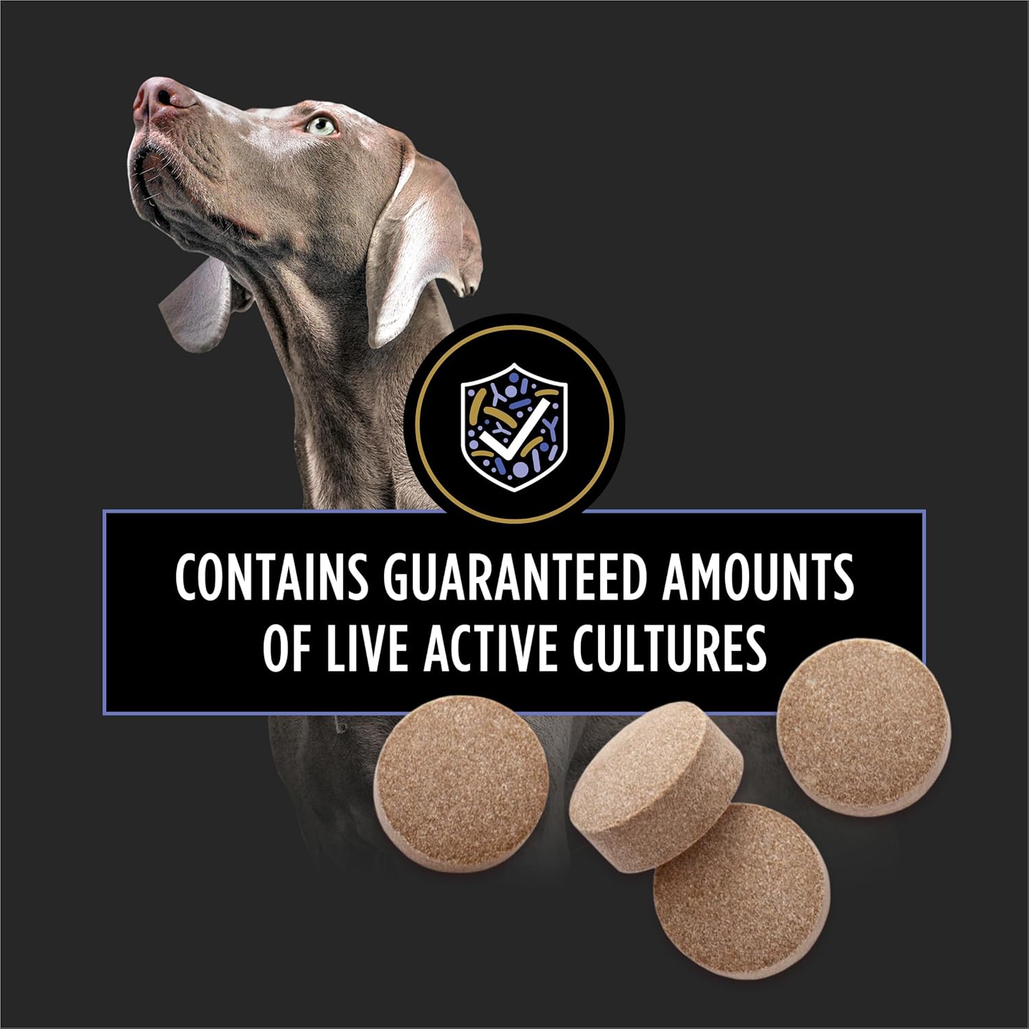 Purina Pro Plan FortiFlora Chewable Dog Probiotic