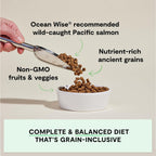 Open Farm Wild-Caught Salmon & Ancient Grains Dry Dog Food, 22 lb