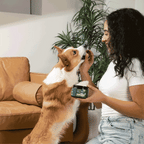 Wuffes Hip & Joint Chews – Small & Medium Dogs (60ct)