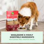 Open Farm Wild-Caught Salmon & Ancient Grains Dry Dog Food, 22 lb