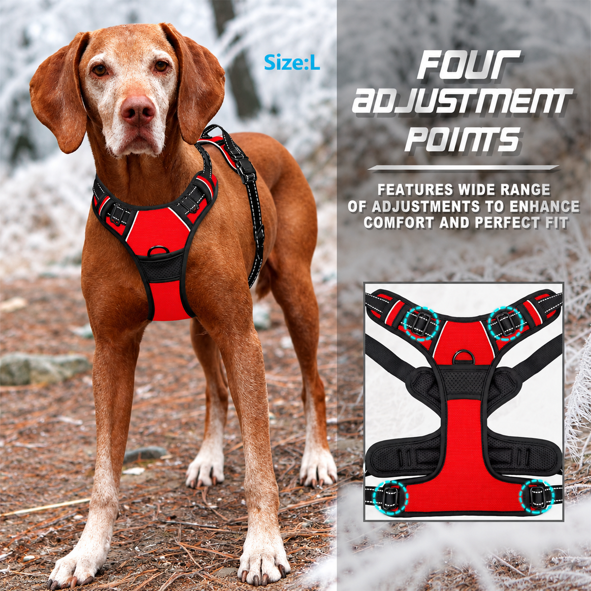 Dog wearing the No Pull Dog Harness with the four adjustment points highlighted