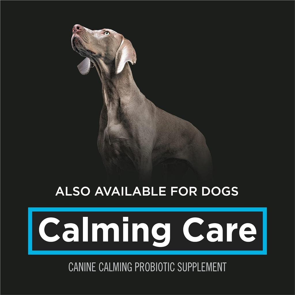 Purina Pro Plan Calming Care Cat Probiotic Supplement 30 ct