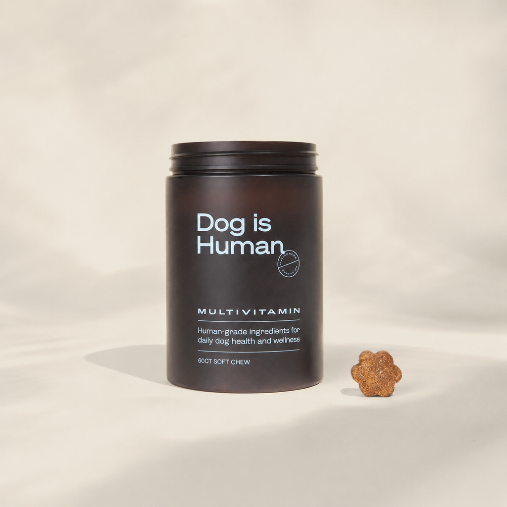 Dog is Human Daily Multivitamin Soft Chews for Dogs – 60ct