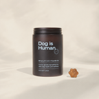 Dog is Human Daily Multivitamin Soft Chews for Dogs – 60ct