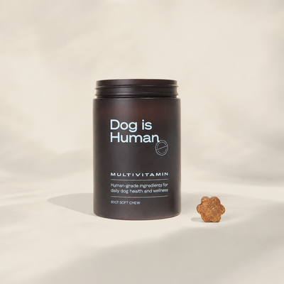 Dog is Human Daily Multivitamin Soft Chews for Dogs – 60ct