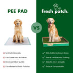 Fresh Patch vs synthetic pee pad comparison