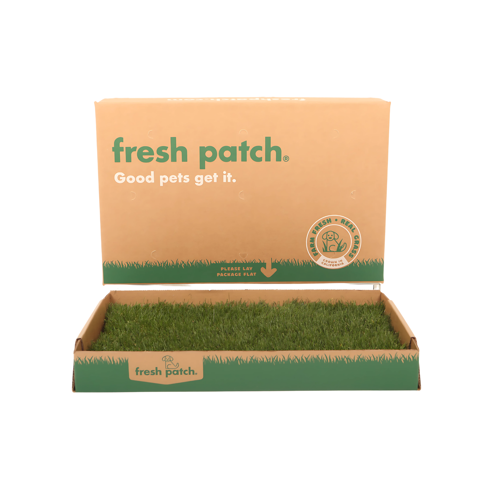 Fresh Patch Standard real grass dog potty, box open