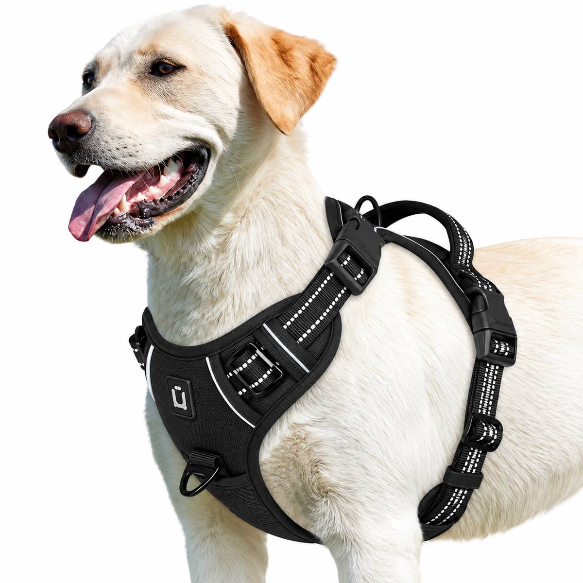 Labrador wearing the Black air-mesh no pull dog harness with reflective trim